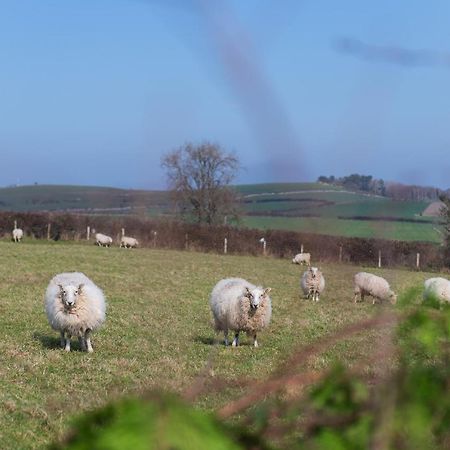 Beautiful Countryside Cottage On The North Wales Coast อะแบร์เกล ภายนอก รูปภาพ