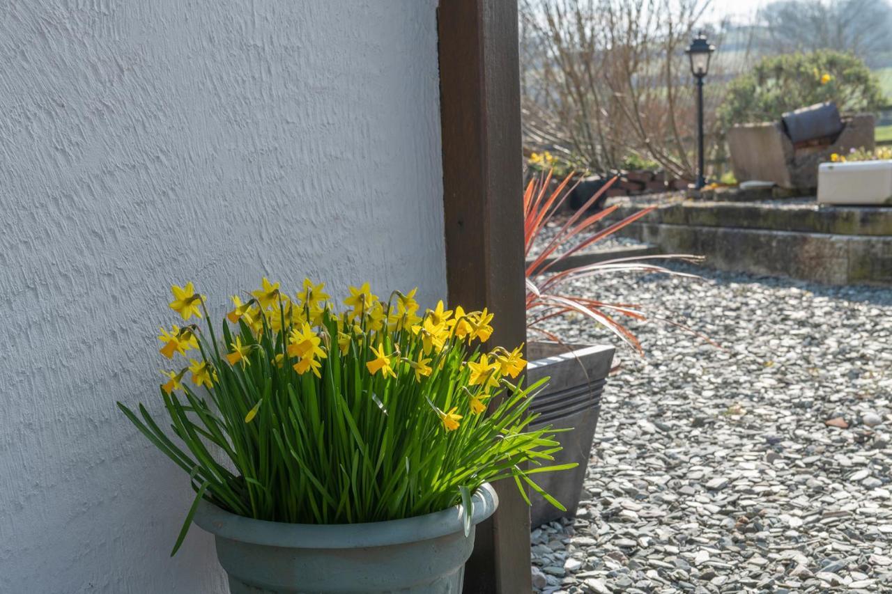 Beautiful Countryside Cottage On The North Wales Coast อะแบร์เกล ภายนอก รูปภาพ